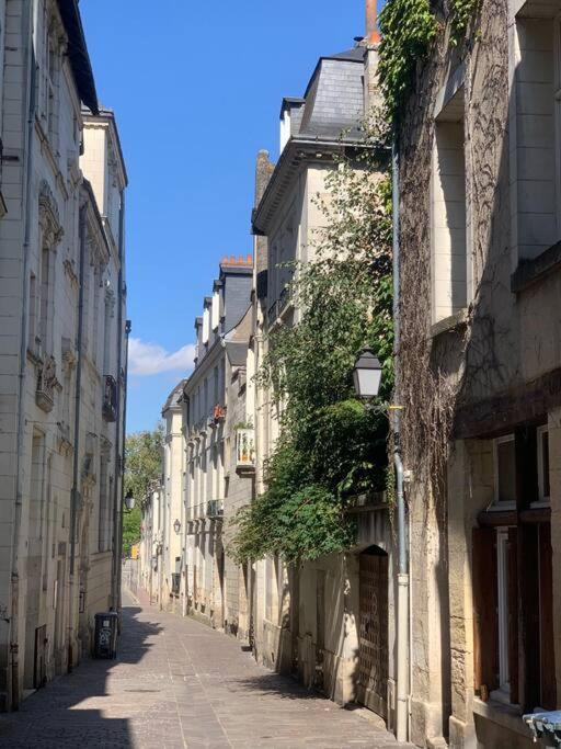 Hotel Robin Quantin In The Heart Of Old トゥール エクステリア 写真